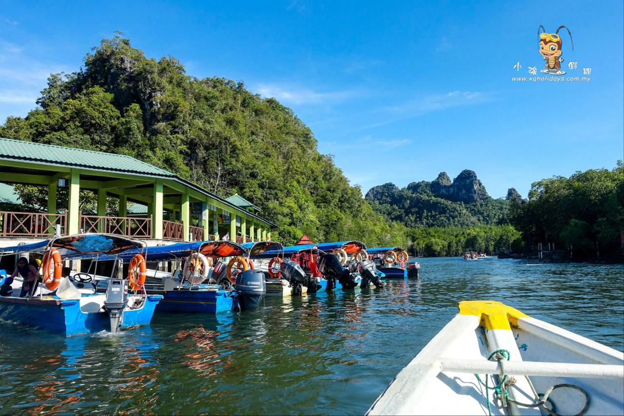 Jelajahi Mangrove Langkawi: Tur yang Menakjubkan dan Edukatif