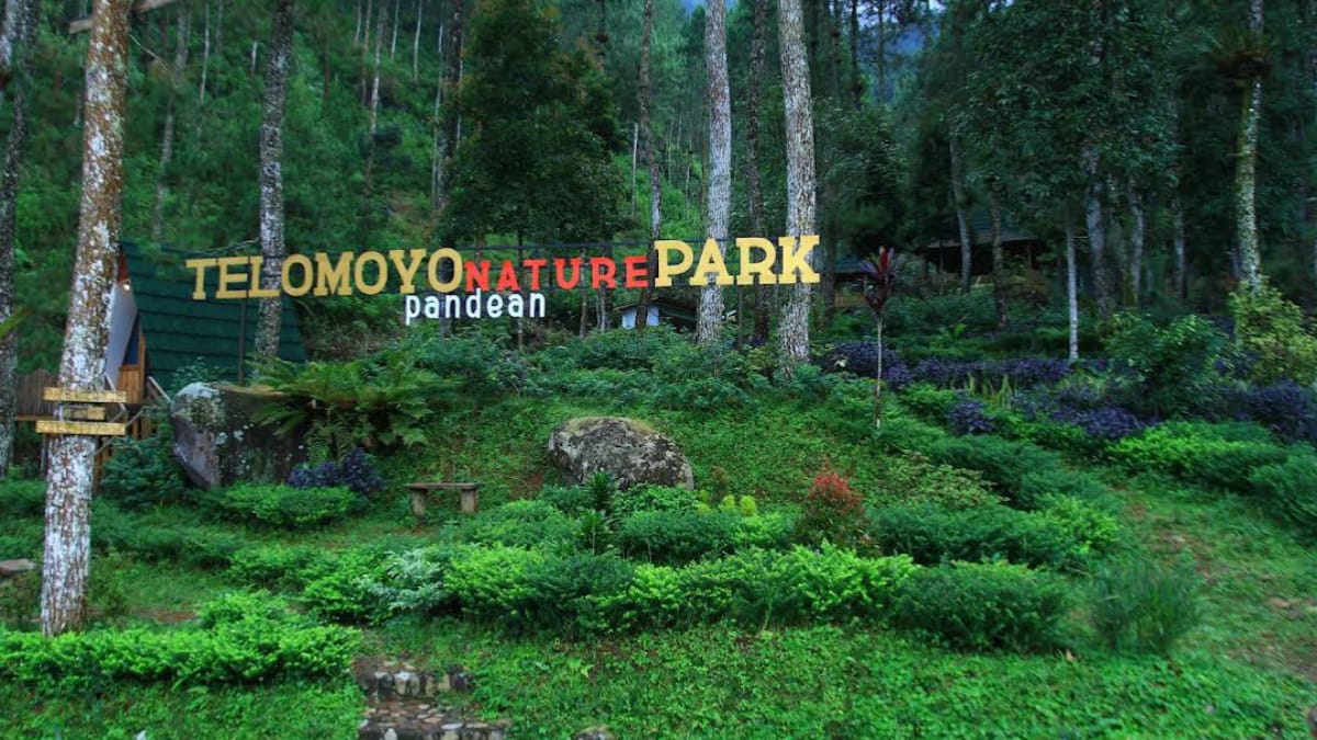 Telomoyo Nature Park: Menikmati Keindahan Alam di Lereng Merapi